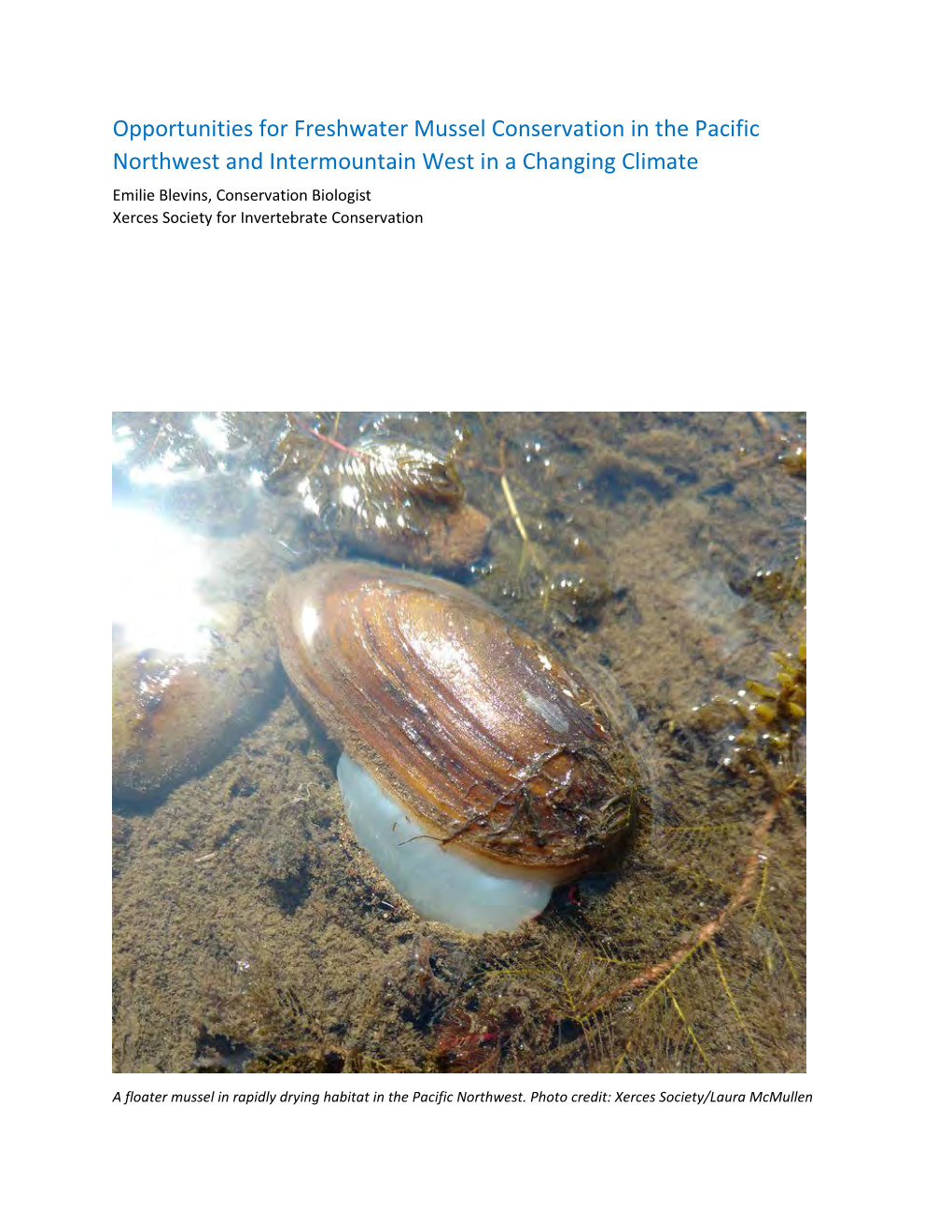 Opportunities for Freshwater Mussel Conservation in the Pacific