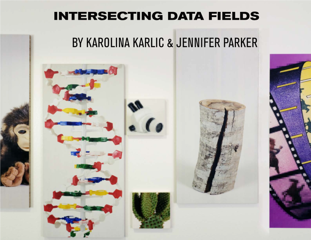 Intersecting Data Fields