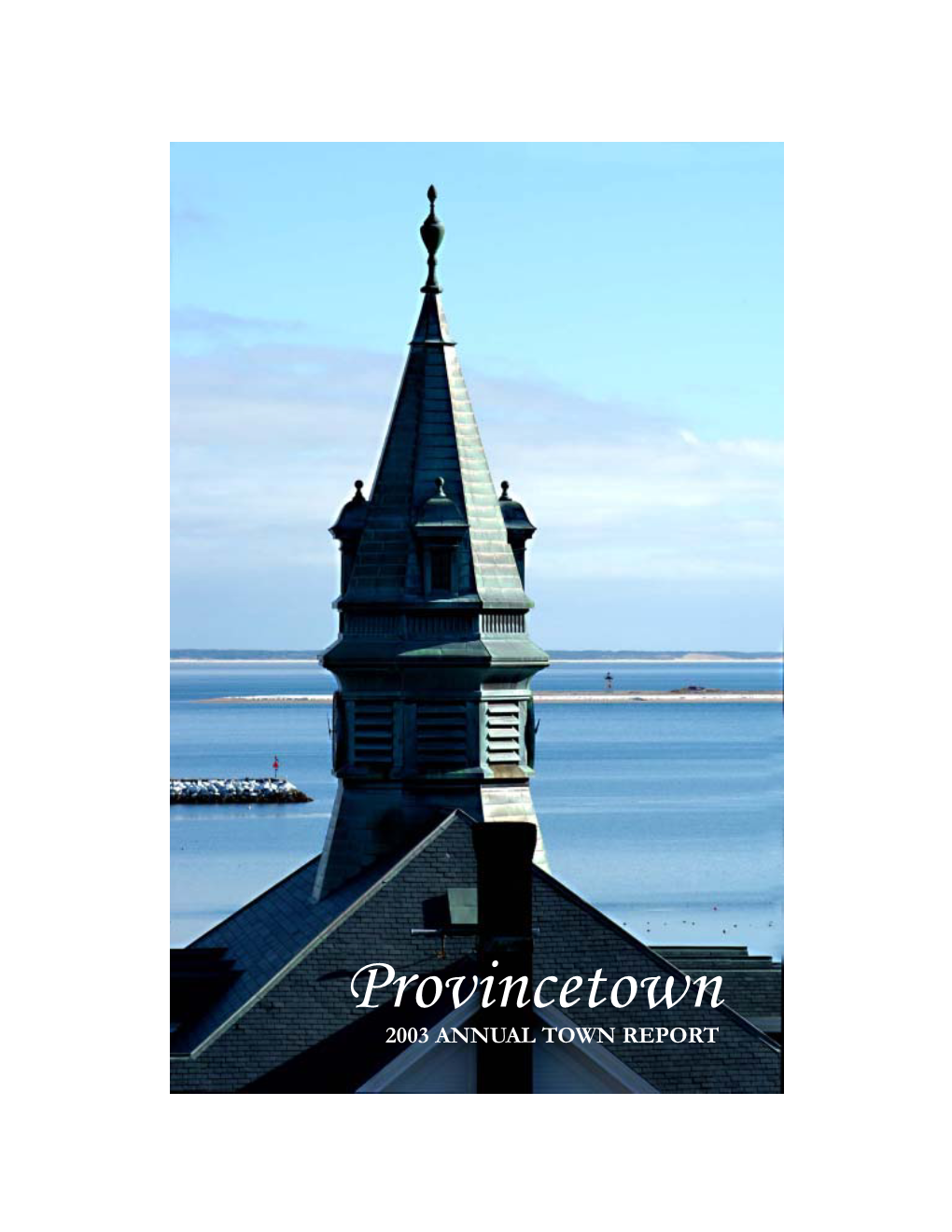 Provincetown-2003.Pdf (1.314Mb)