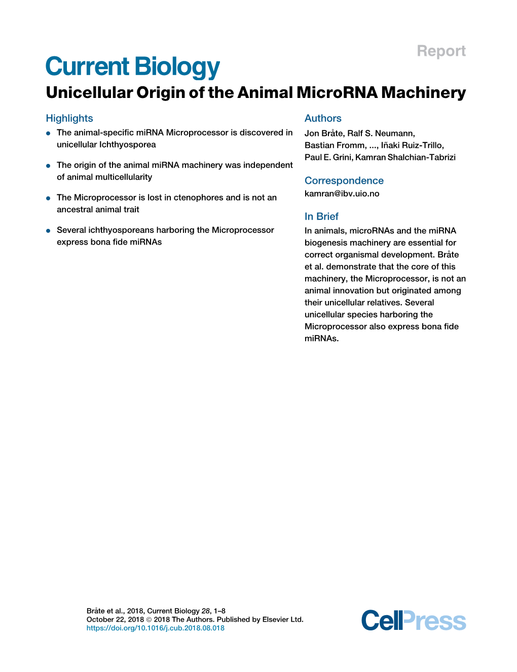 Unicellular Origin of the Animal Microrna Machinery