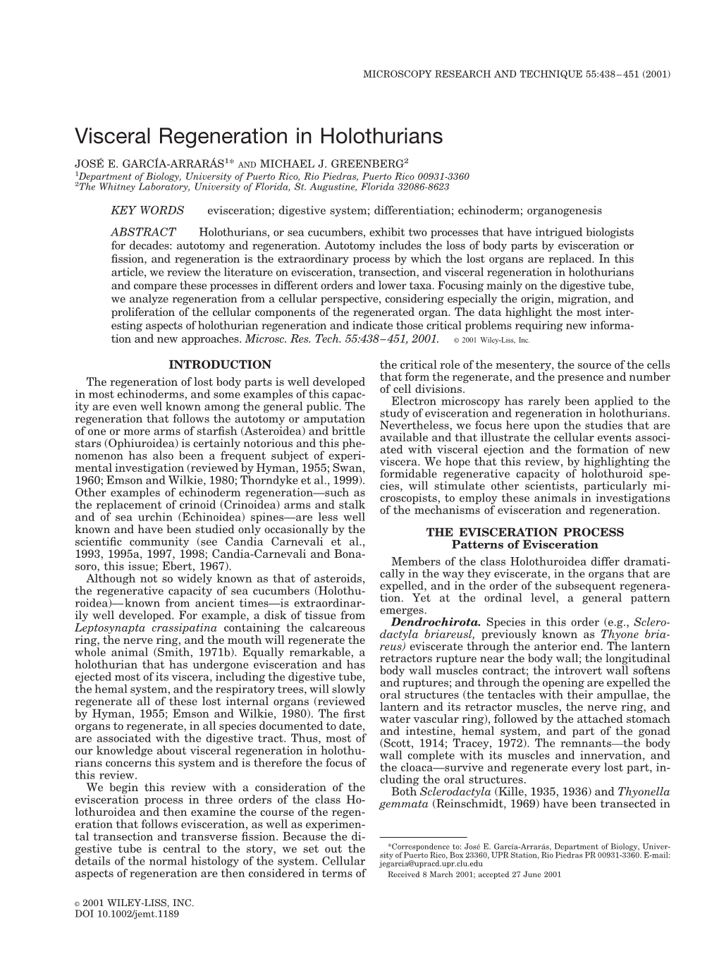 Visceral Regeneration in Holothurians