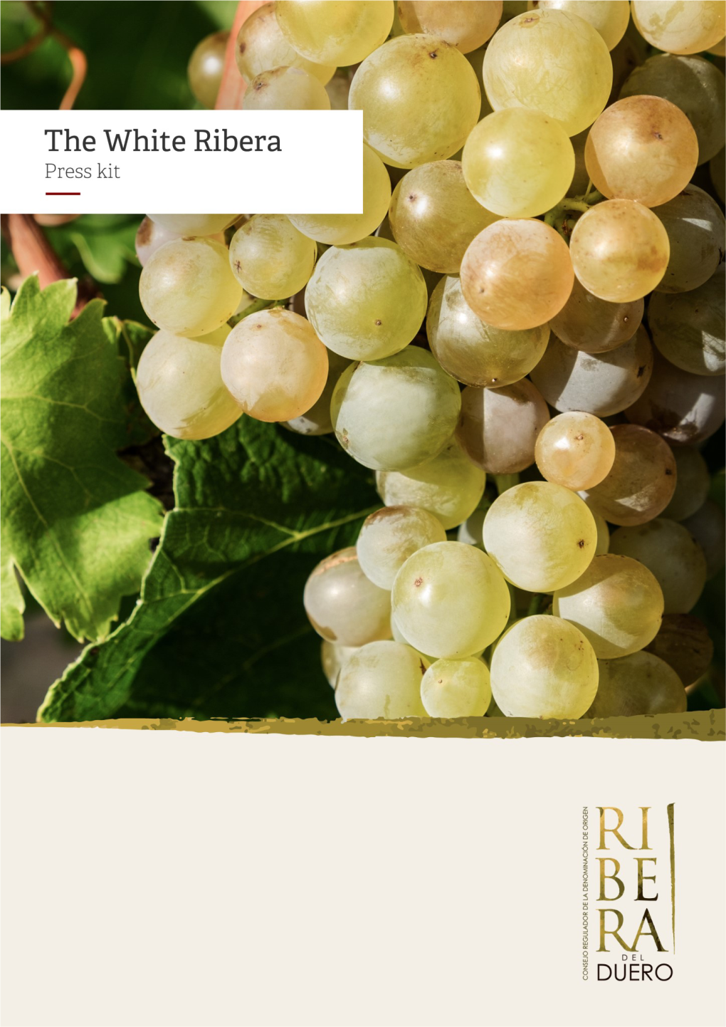 The White Wines of the Albillo Mayor Grape of Ribera Del Duero