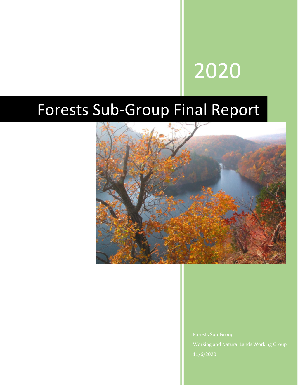 Forests Sub-Group Final Report