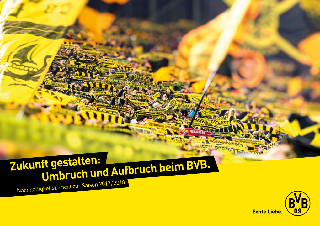 Umbruch Und Aufbruch Beim BVB. Zukunft Gestalten