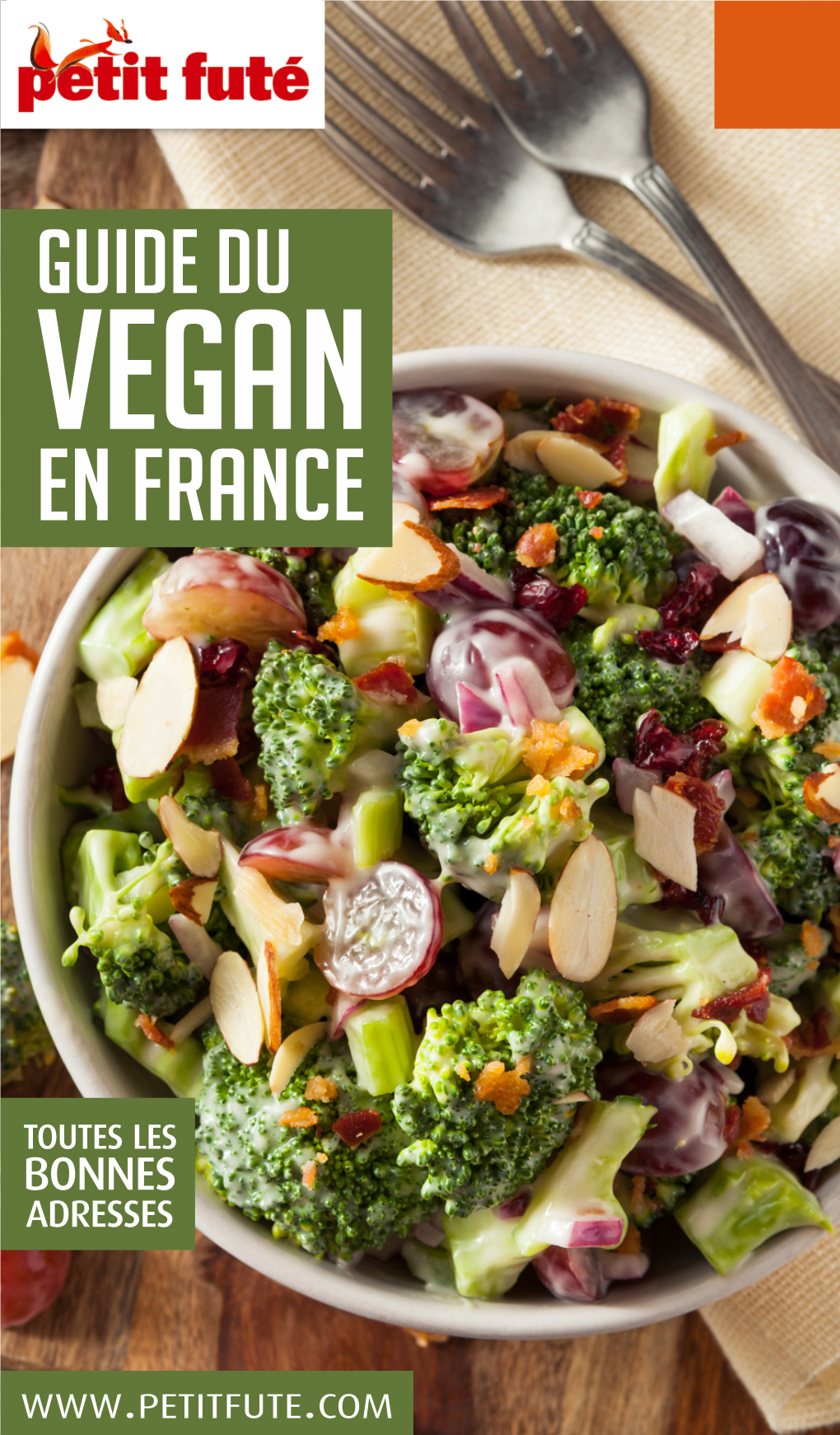 En France VEGAN-PRATIQUE.FR Vegan Pratique, Ce Sont Des Centaines De Recettes Savoureuses Et Nourrissantes, Des Astuces, Des Conseils Pratiques Et Nutritionnels