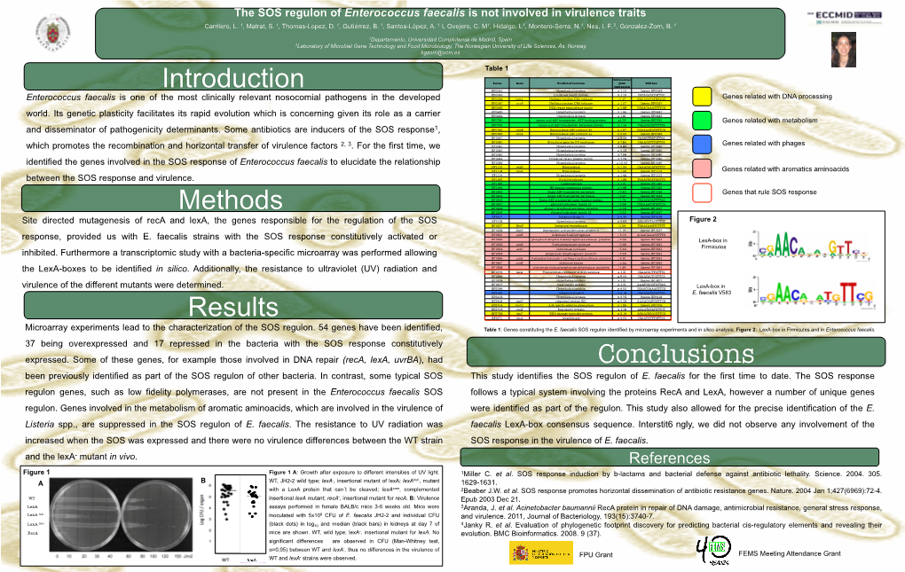 The SOS Regulon of Enterococcus Faecalis Is Not Involved in Virulence Traits Carrilero, L