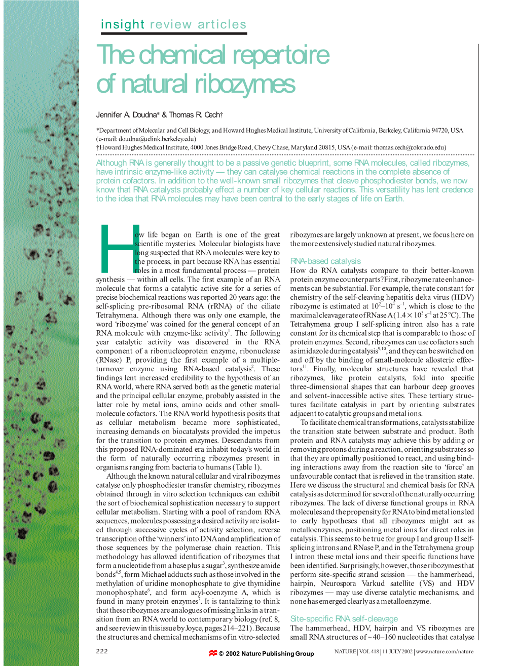 The Chemical Repertoire of Natural Ribozymes