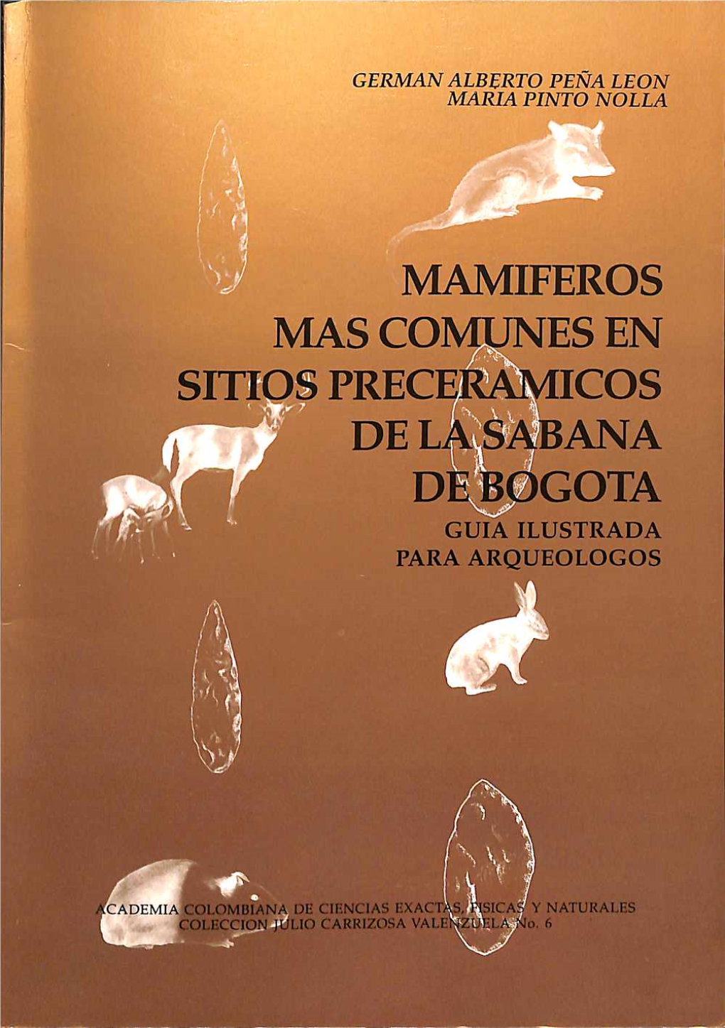 Iftlenciasís ATURALES O CARRIZOSA ACADEMIA COLOMBIANA DE CIENCIAS EXACTAS, FISICAS Y NATURALES COLECCION JULIO CARRIZOSA VALENZUELA No