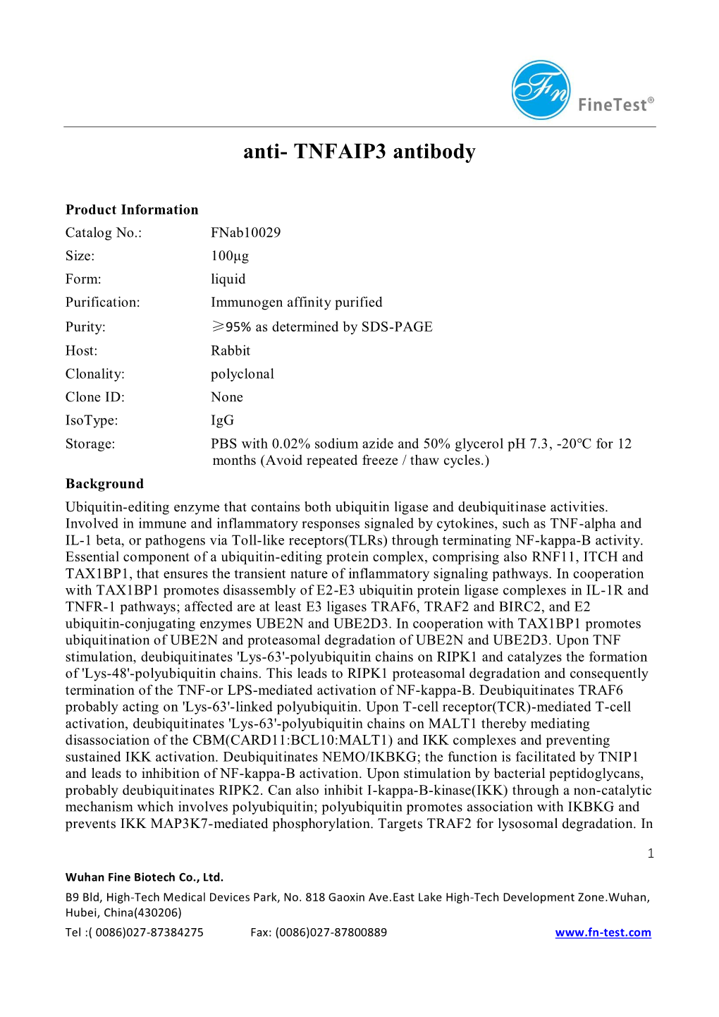 Anti- TNFAIP3 Antibody