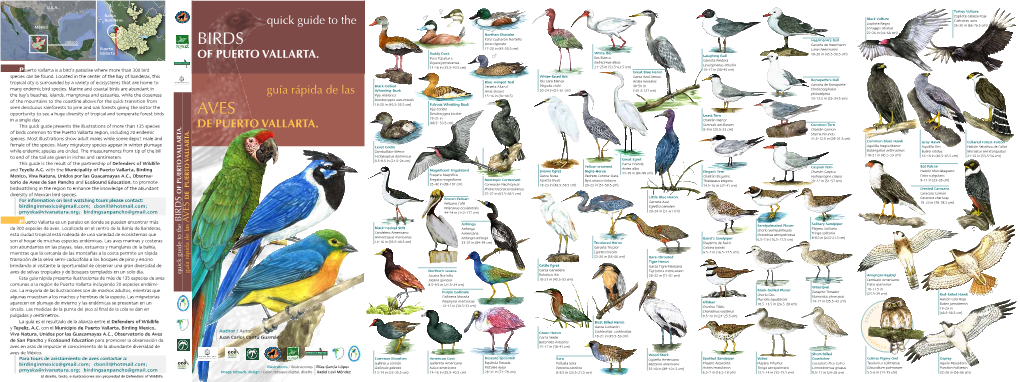Birds-Of-Puerto-Vallarta-Id-Guide.Pdf