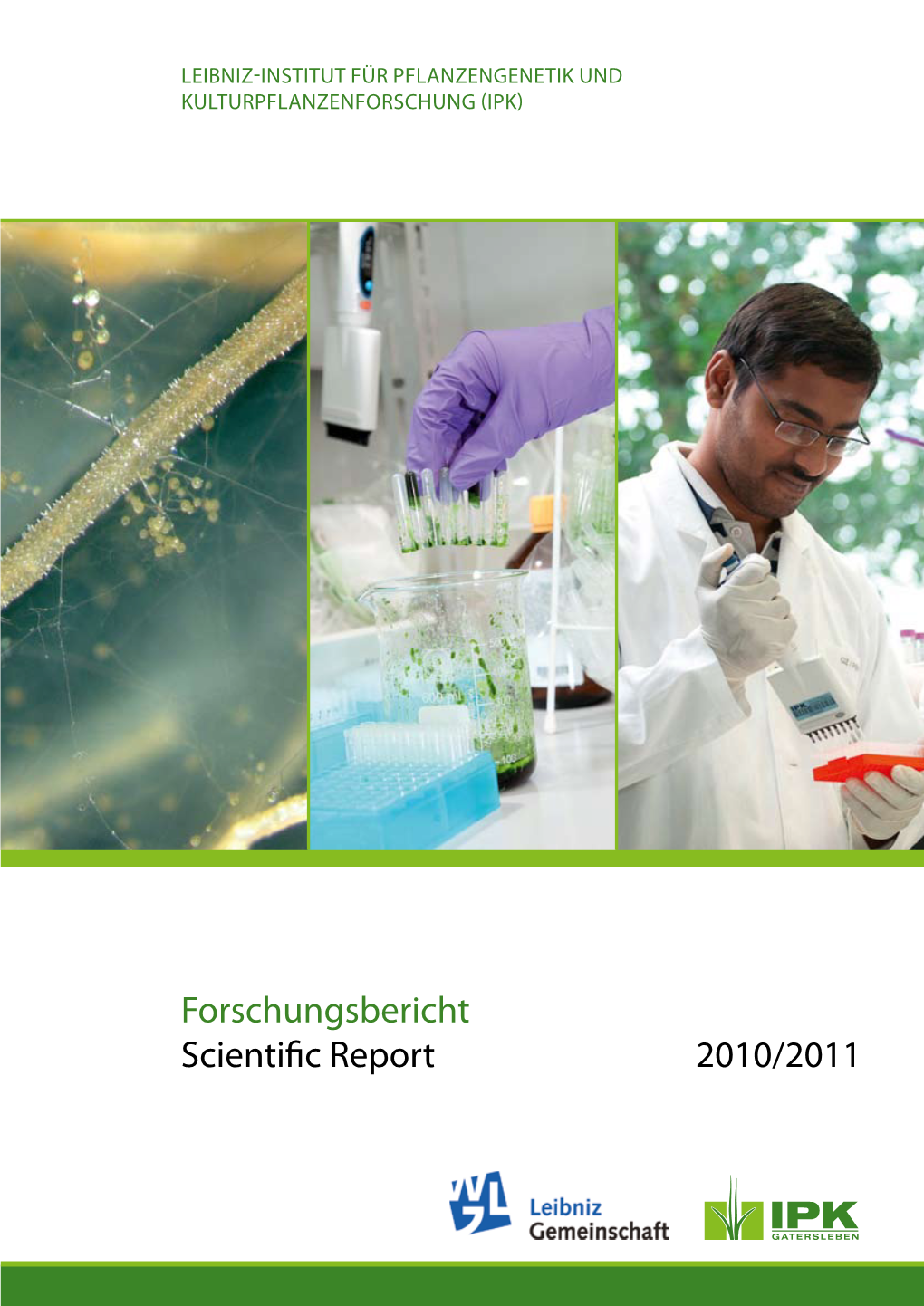 2010/2011 Forschungsbericht Scientific Report