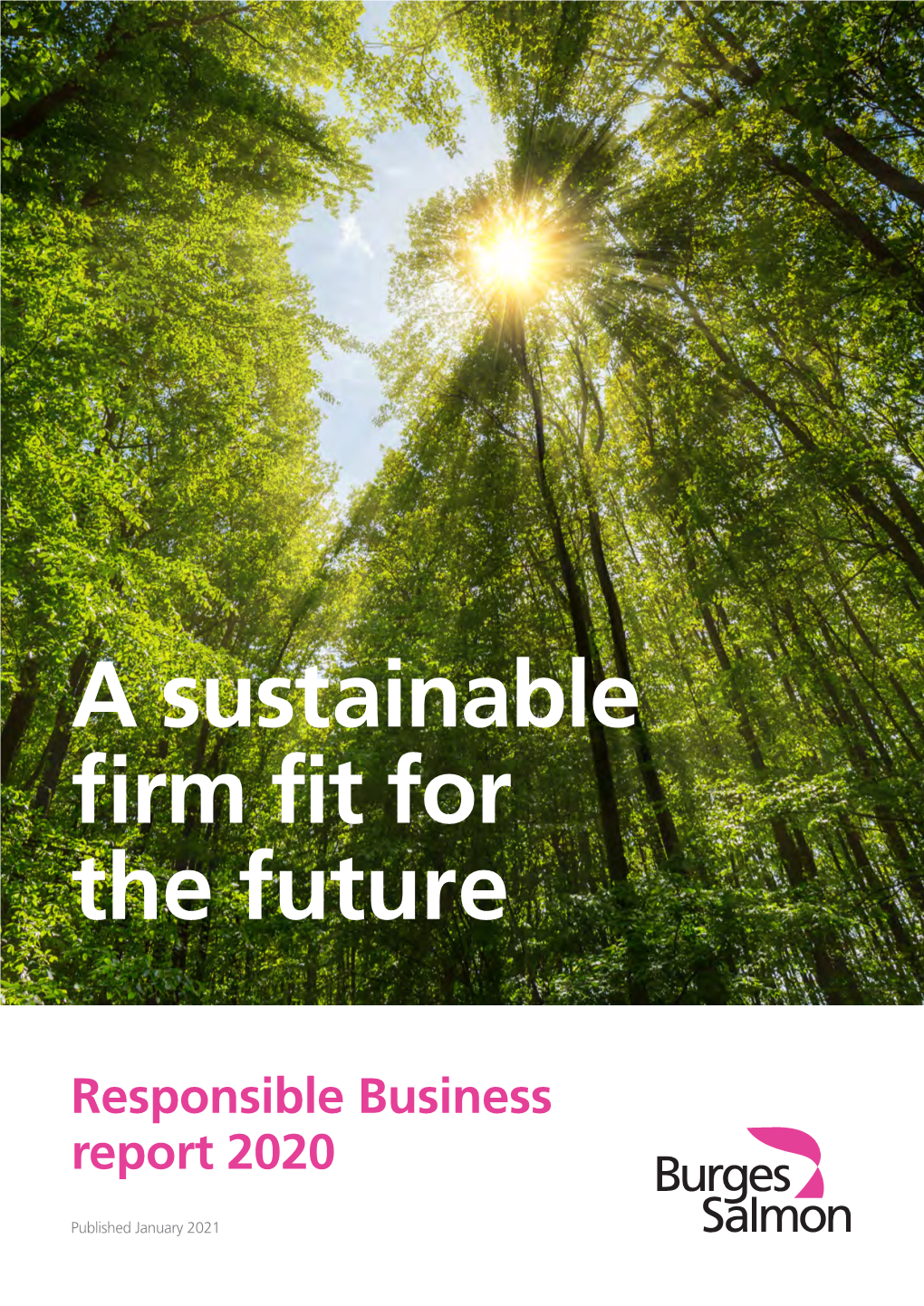 A Sustainable Firm Fit for the Future