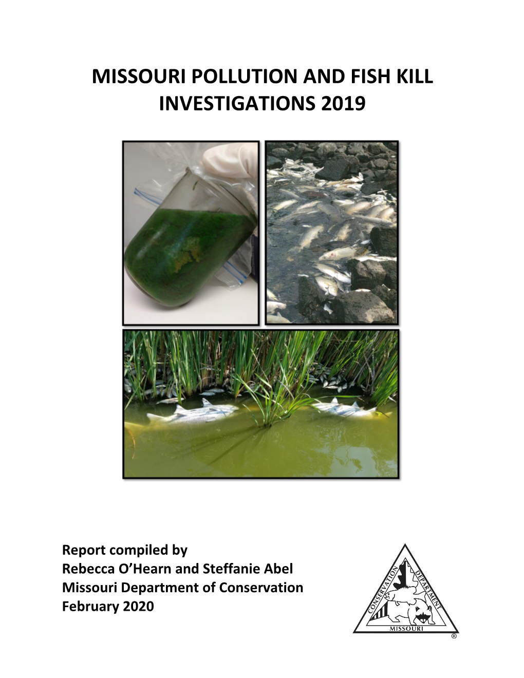 MDC Pollution and Fish Kill Investigations 2019