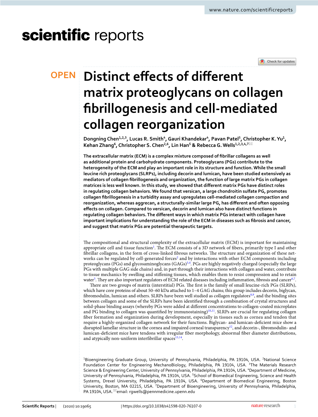 Distinct Effects of Different Matrix Proteoglycans on Collagen