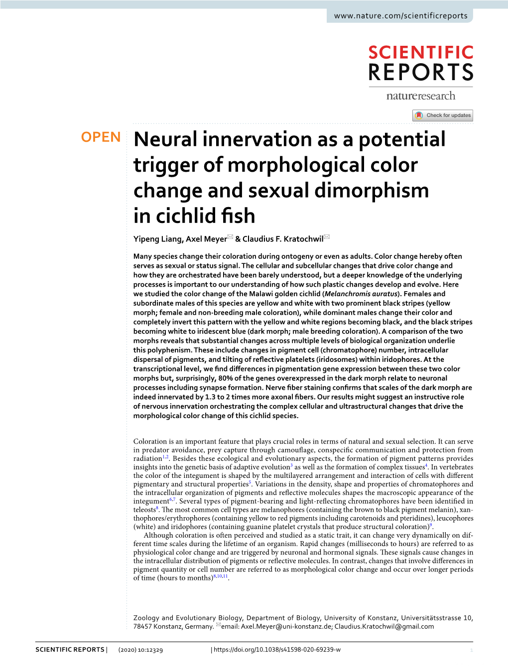 Neural Innervation As a Potential Trigger of Morphological Color Change and Sexual Dimorphism in Cichlid Fsh Yipeng Liang, Axel Meyer* & Claudius F