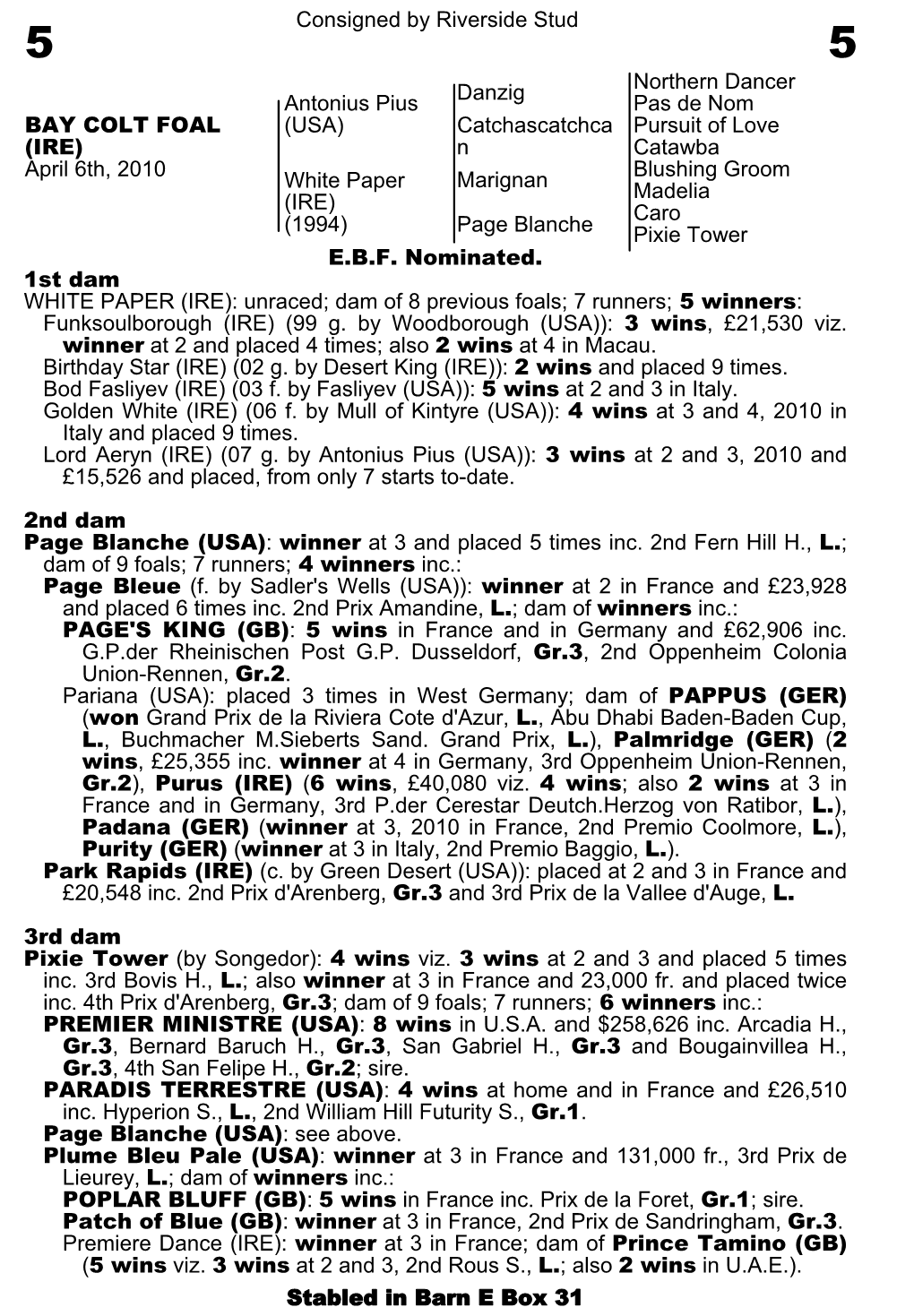 Consigned by Riverside Stud Danzig Northern Dancer Pas