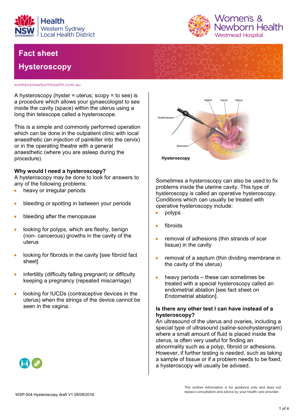 Fact Sheet Hysteroscopy