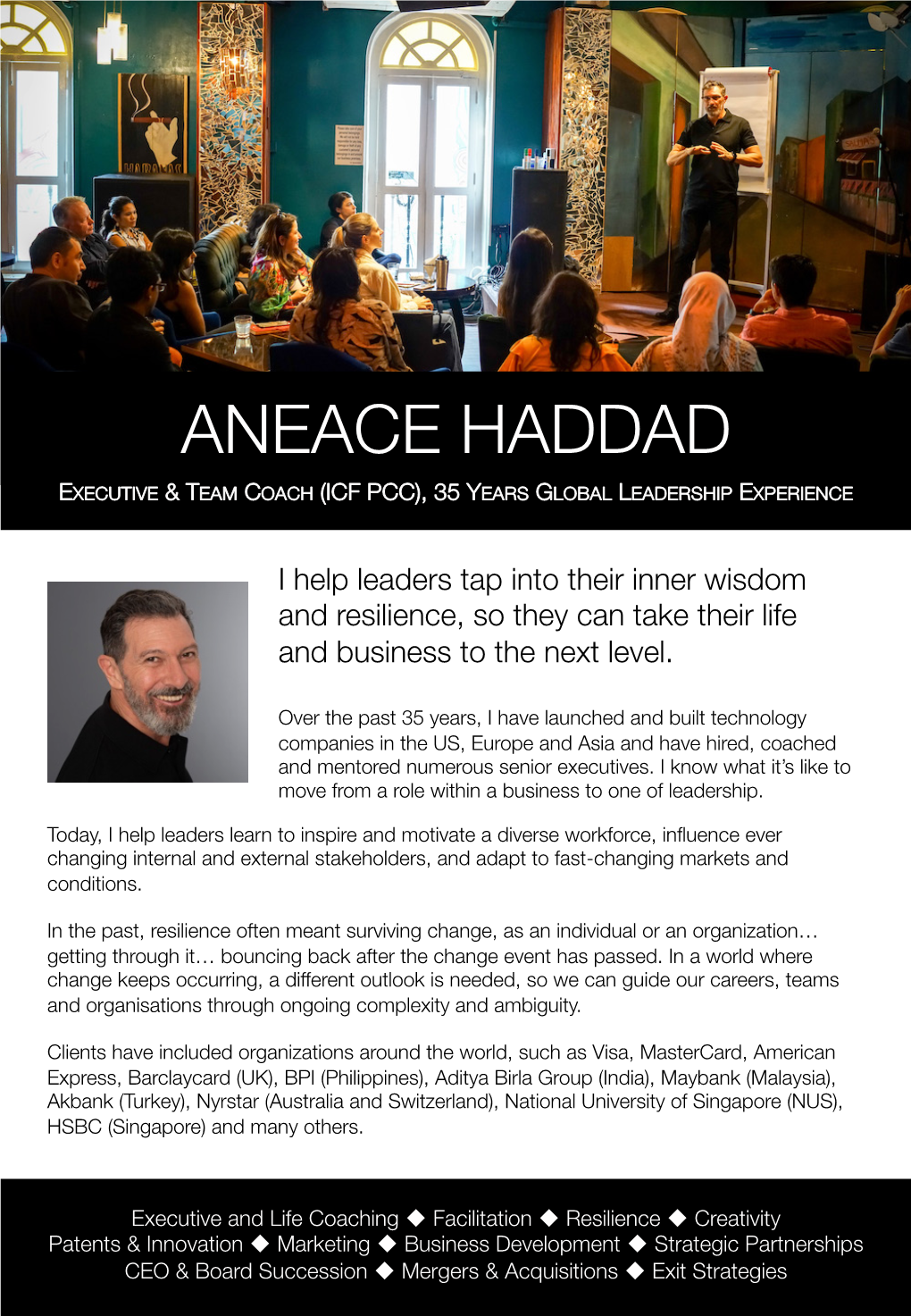 Aneace Haddad Executive & Team Coach (Icf Pcc), 35 Years Global Leadership Experience