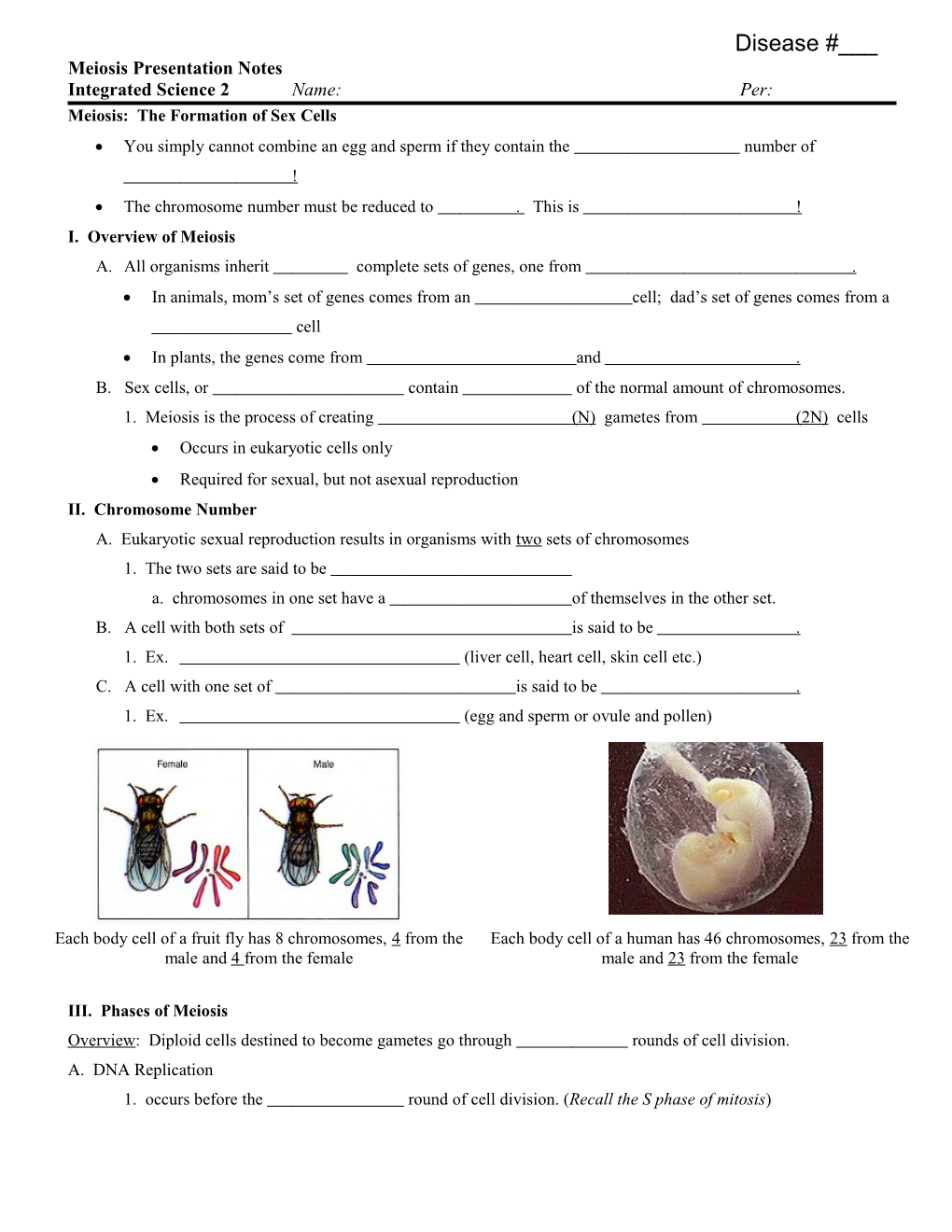 Meiosis Powerpoint Notes