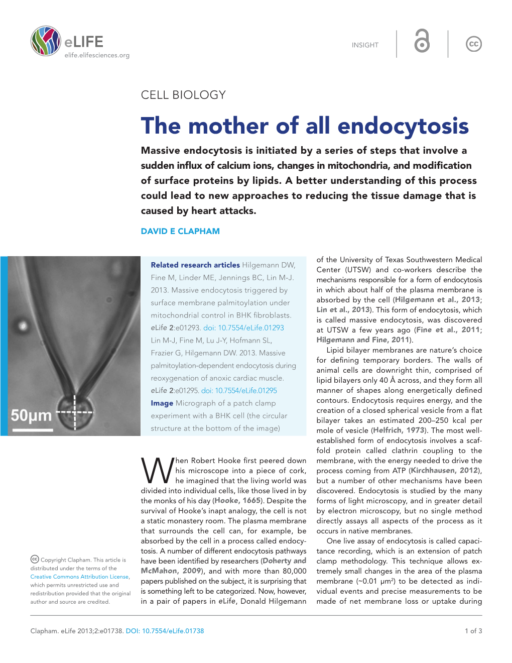 The Mother of All Endocytosis