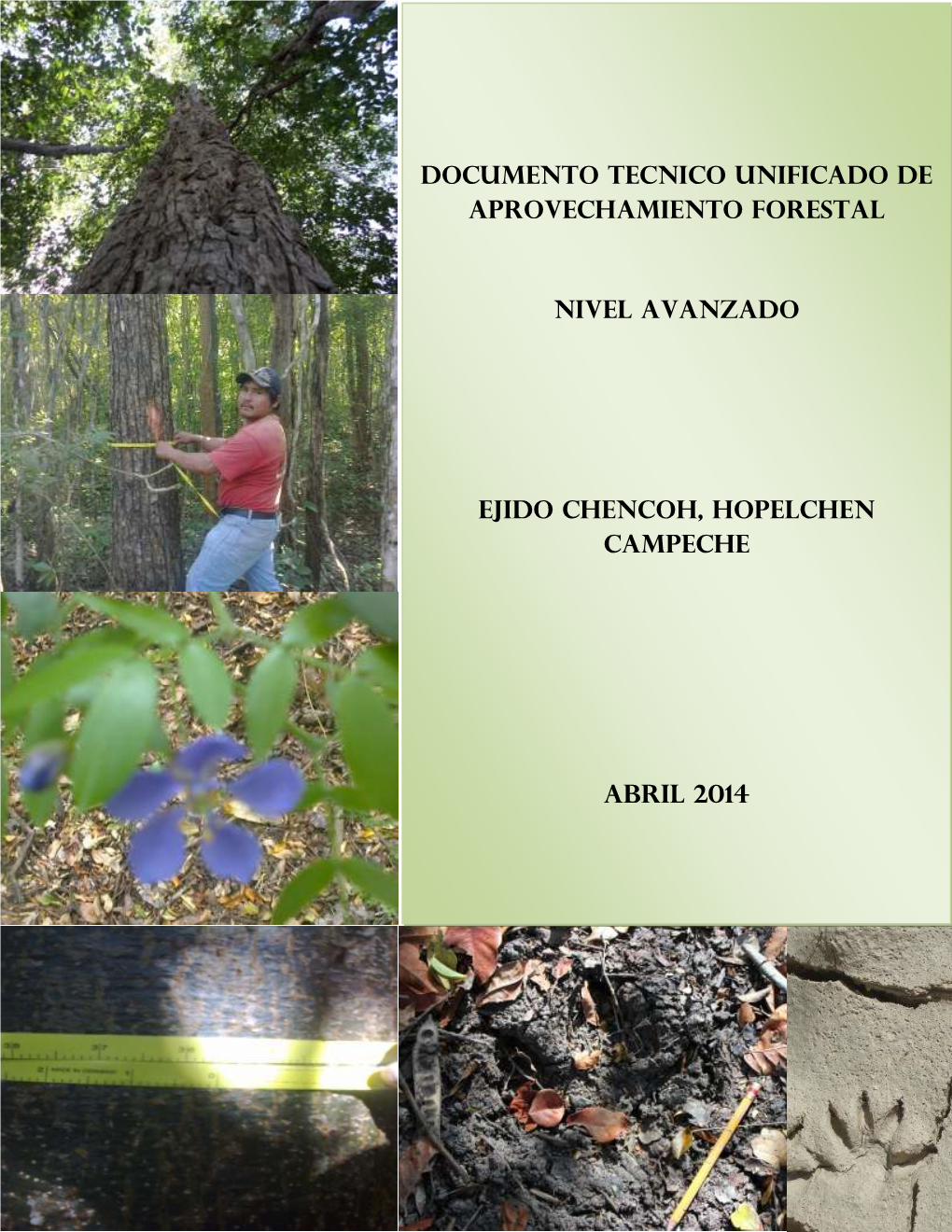 Documento Tecnico Unificado De Aprovechamiento Forestal