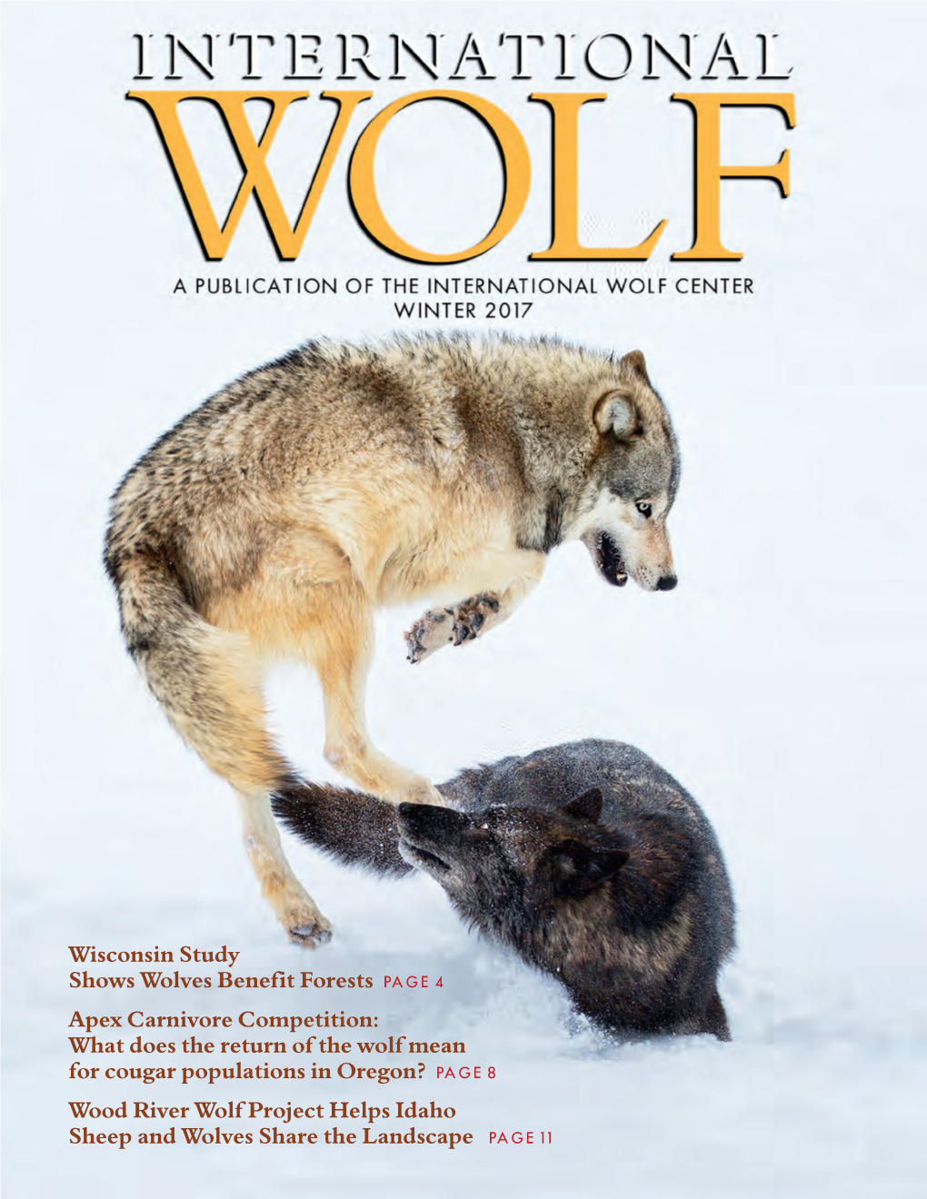 Wisconsin Study Shows Wolves Benefit Forests PAGE 4 Apex