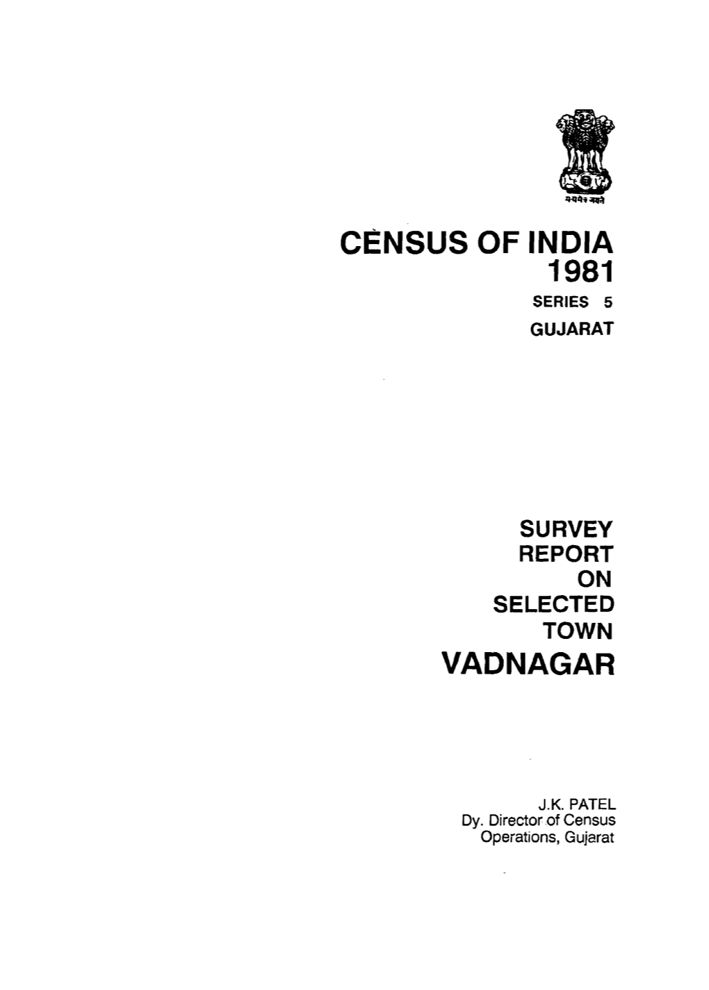 Survey Report on Selected Town Vadnagar, Part-XB