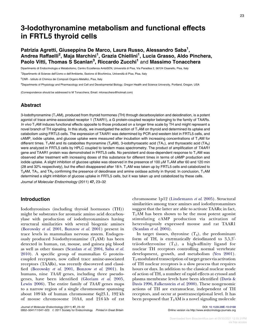 3-Iodothyronamine Metabolism and Functional Effects in FRTL5 Thyroid Cells