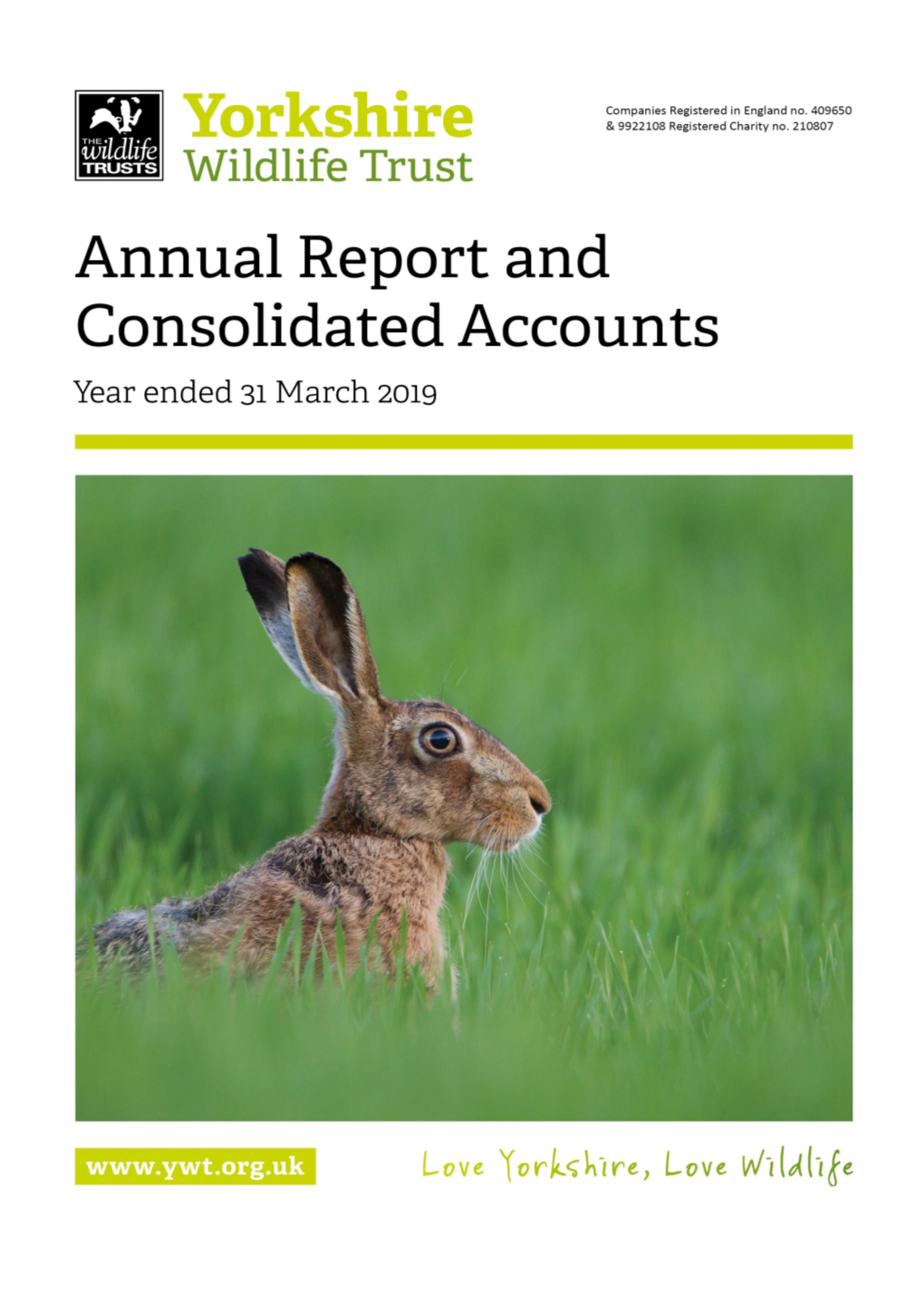 Annual Report and Accounts (2018-2019)