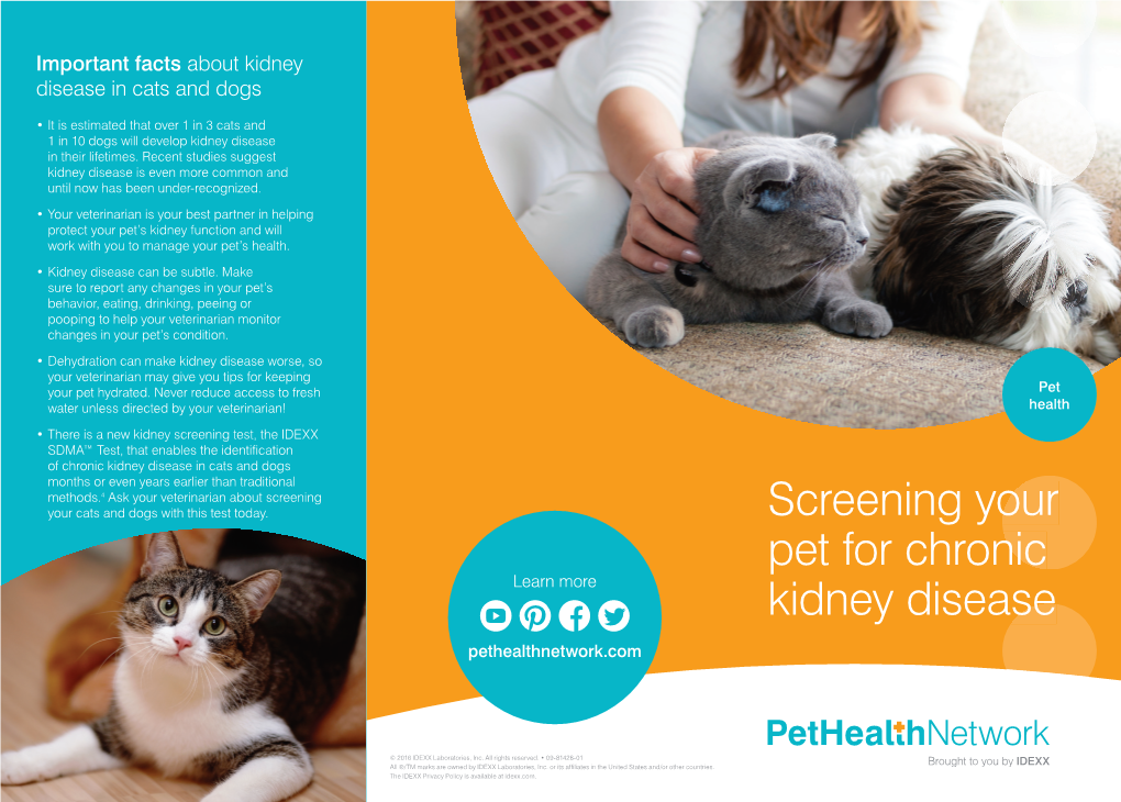 Screening Your Pet for Chronic Kidney Disease