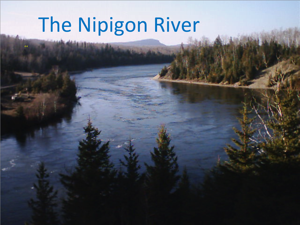 The Nipigon River “