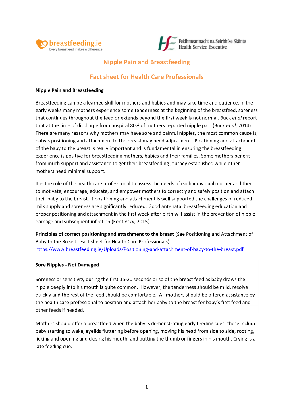 Nipple Pain and Breastfeeding Fact Sheet for Health Care Professionals