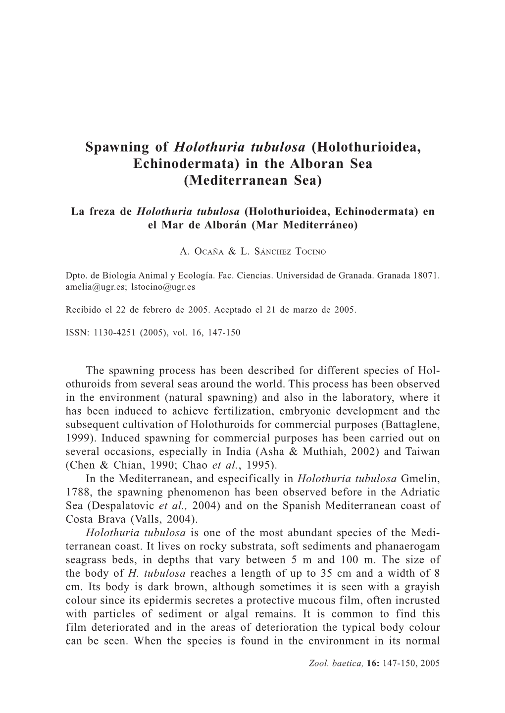 Spawning of Holothuria Tubulosa (Holothurioidea, Echinodermata) in the Alboran Sea (Mediterranean Sea)