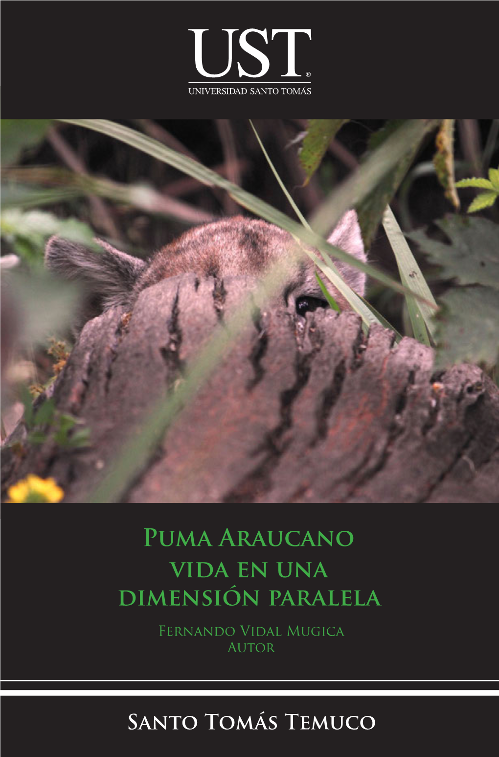 Libro-Puma-Araucano-UST.Pdf