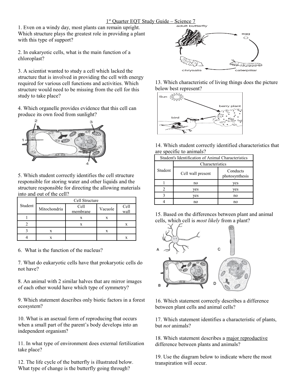 1St Quarter EQT Study Guide Science 7