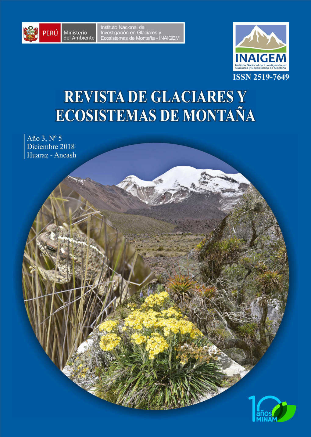 Revista De Glaciares Y Ecosistemas De Montaña