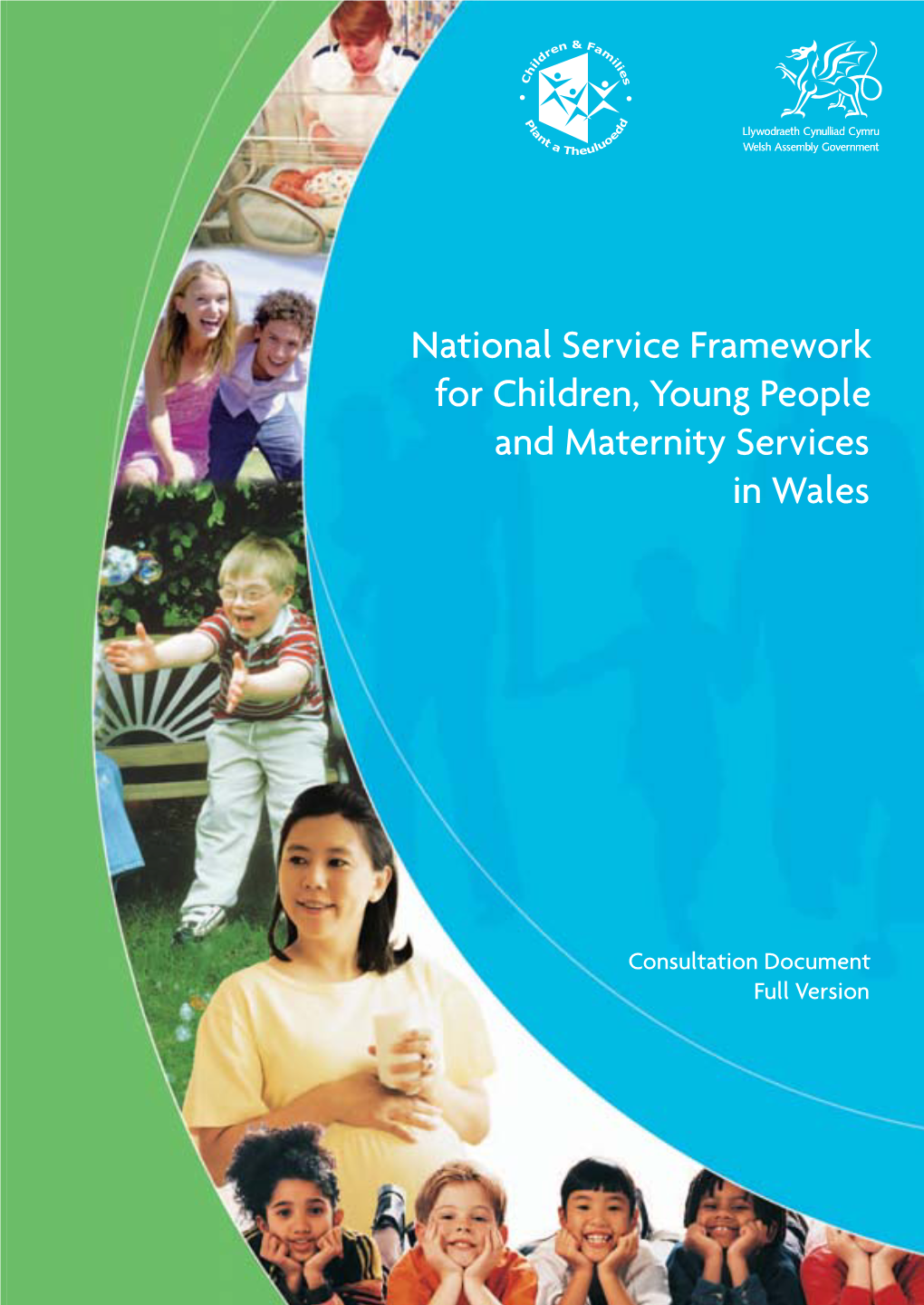 National Service Framework for Children, Young People And