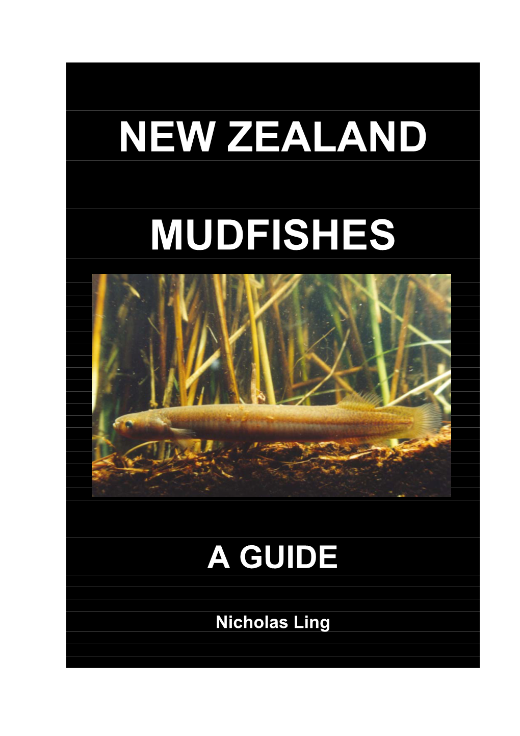 New Zealand Mudfishes: a Guide
