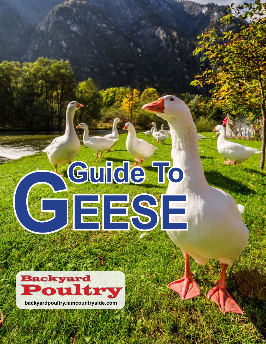 Guide to GEESE