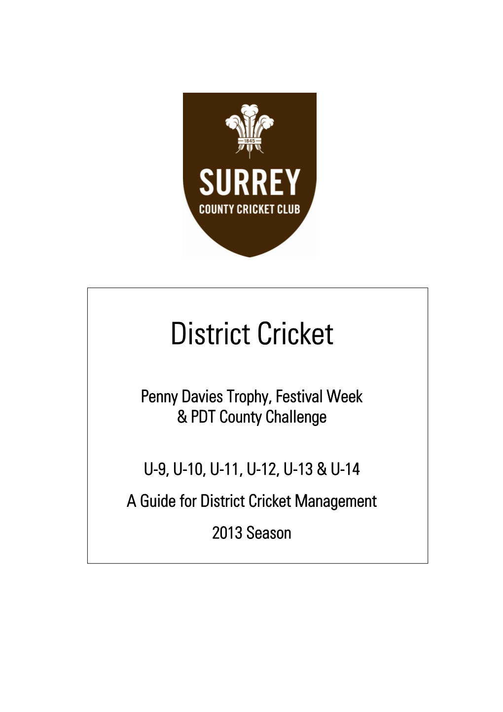 District Cricket