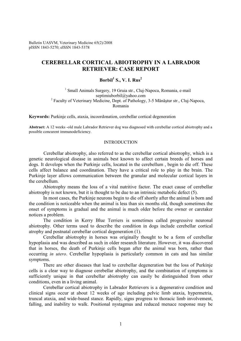 Cerebellar Cortical Abiotrophy in a Labrador Retriever: Case Report