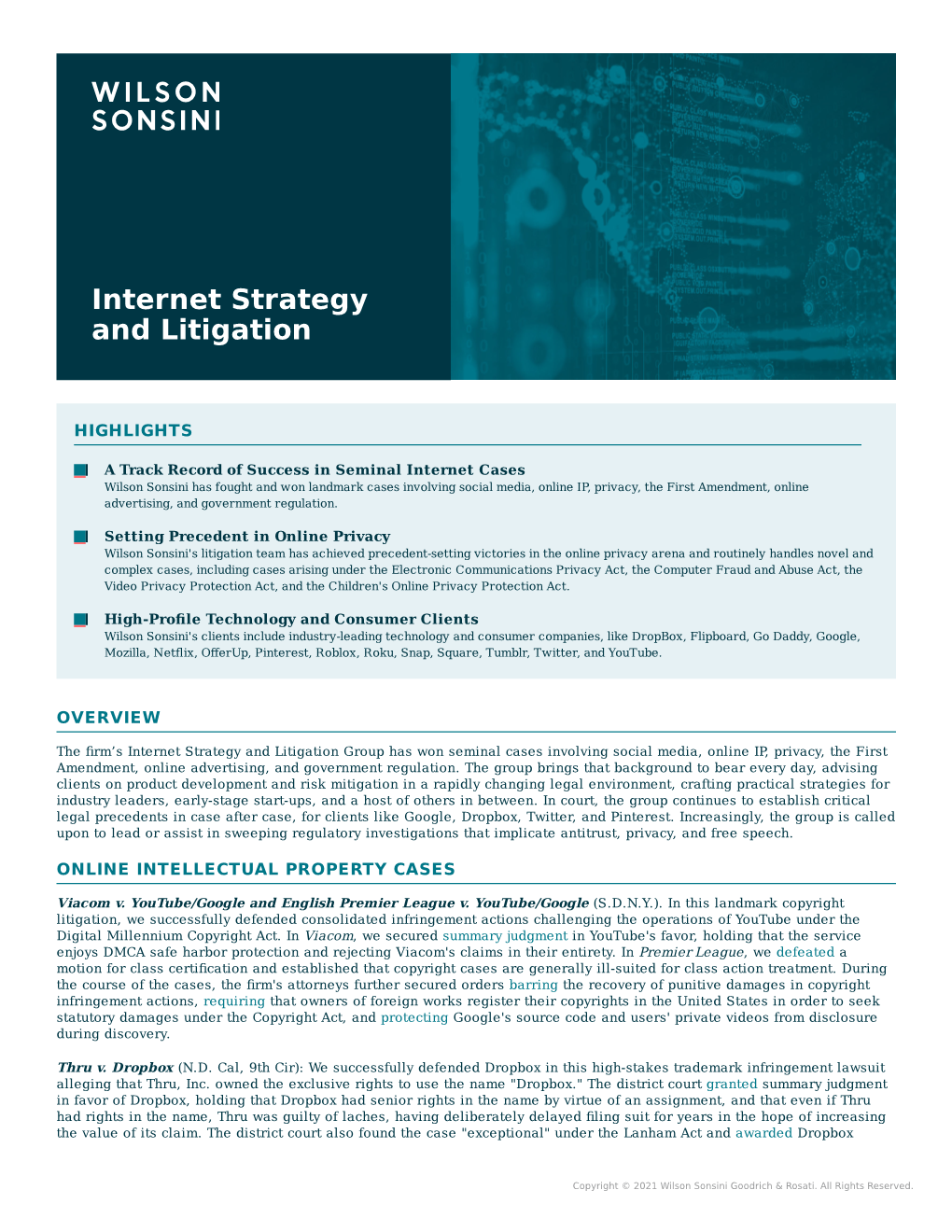 Internet Strategy and Litigation