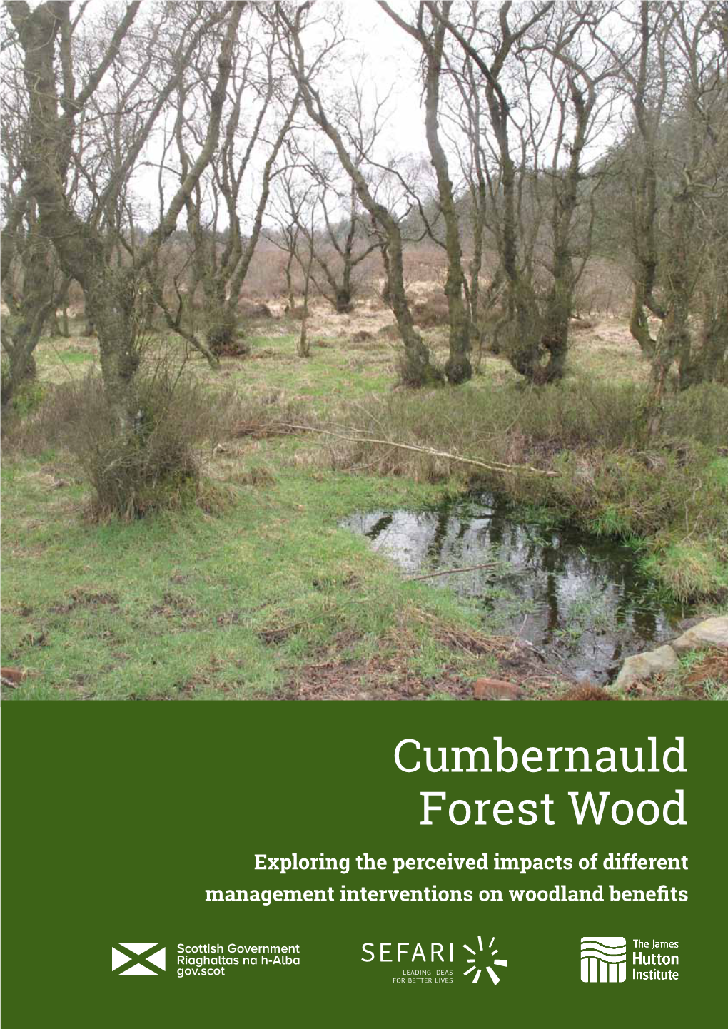 Cumbernauld Forest Wood