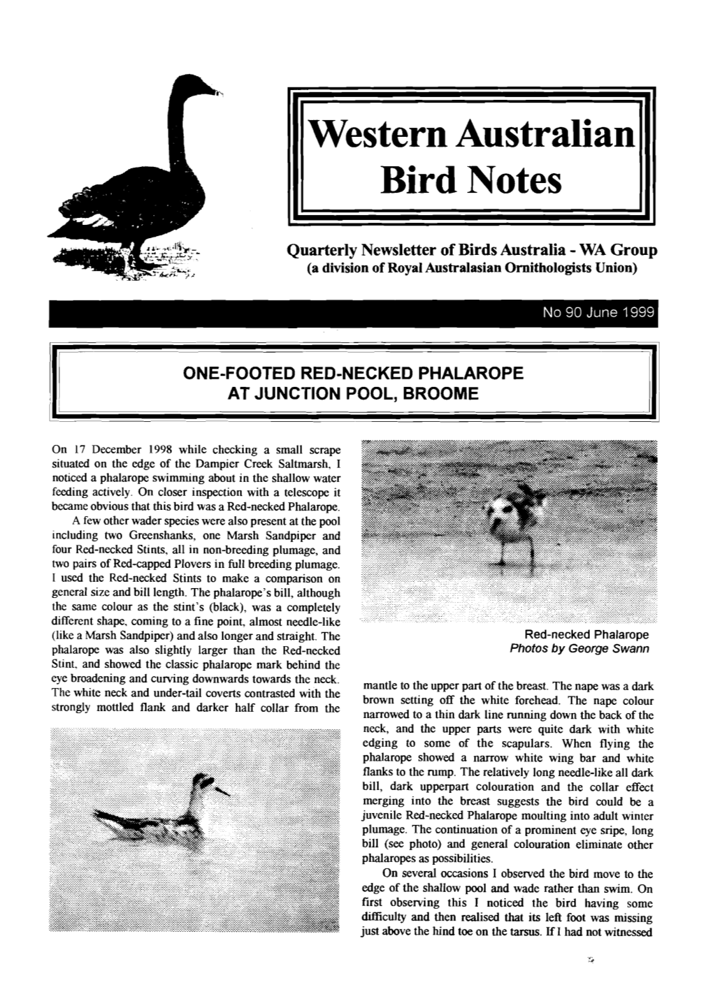 Western Australian Bird Notes