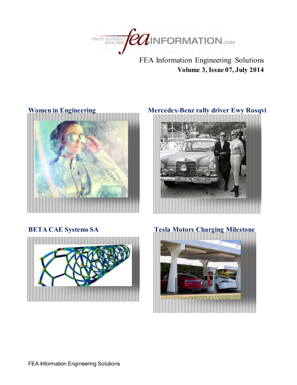 FEA Newsletter July 2014