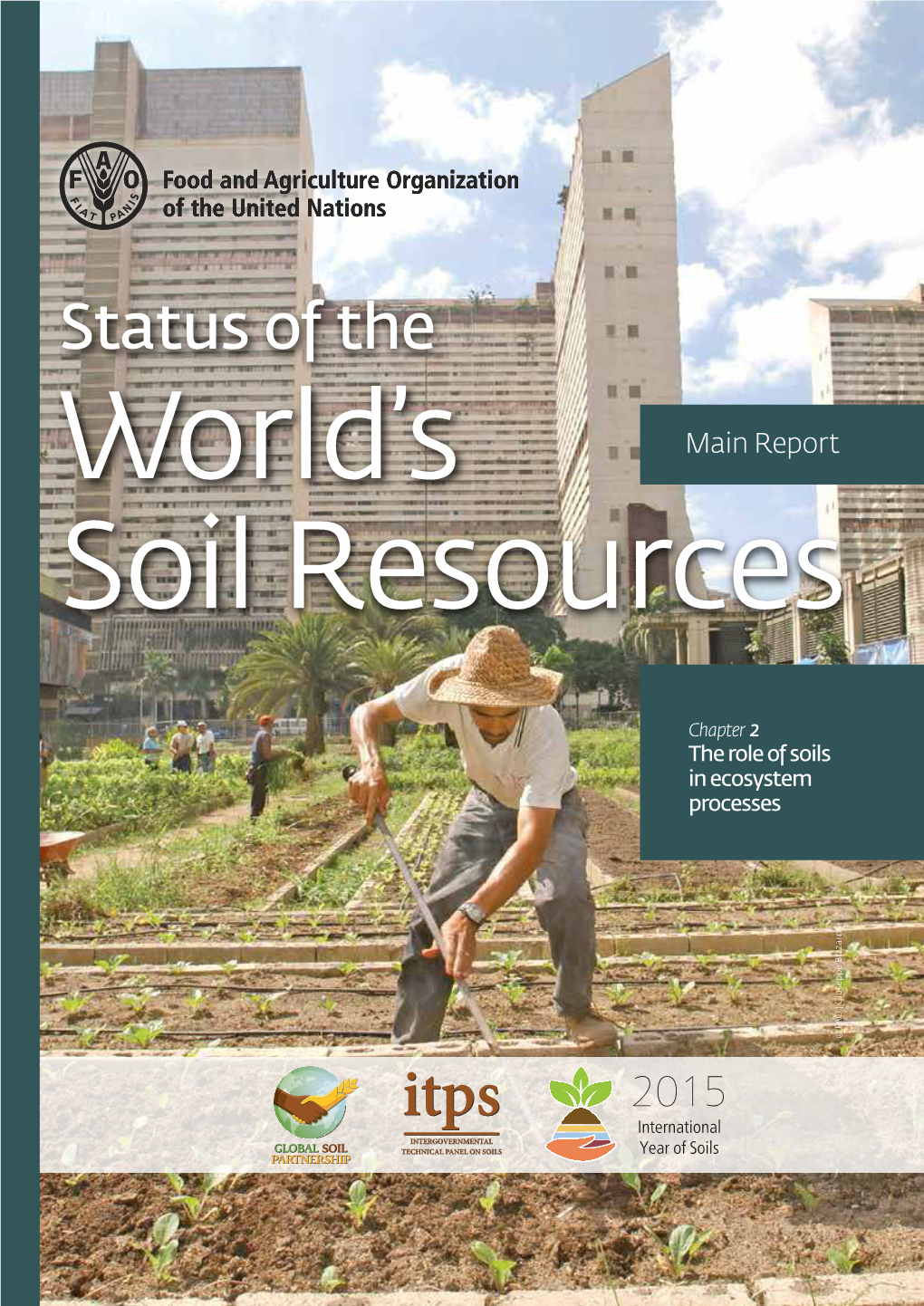 Chapter 2, the Role of Soils in Ecosystem Processes