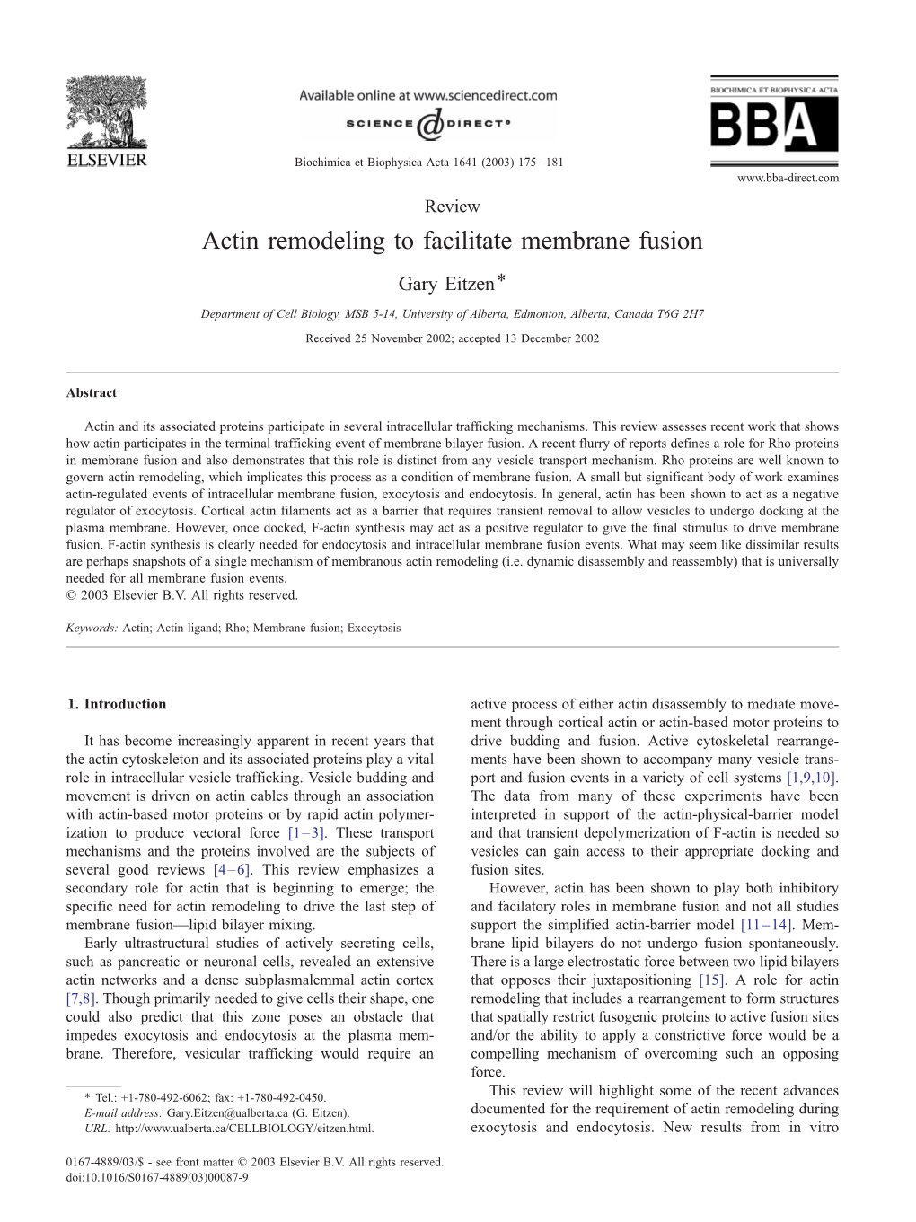 Actin Remodeling to Facilitate Membrane Fusion