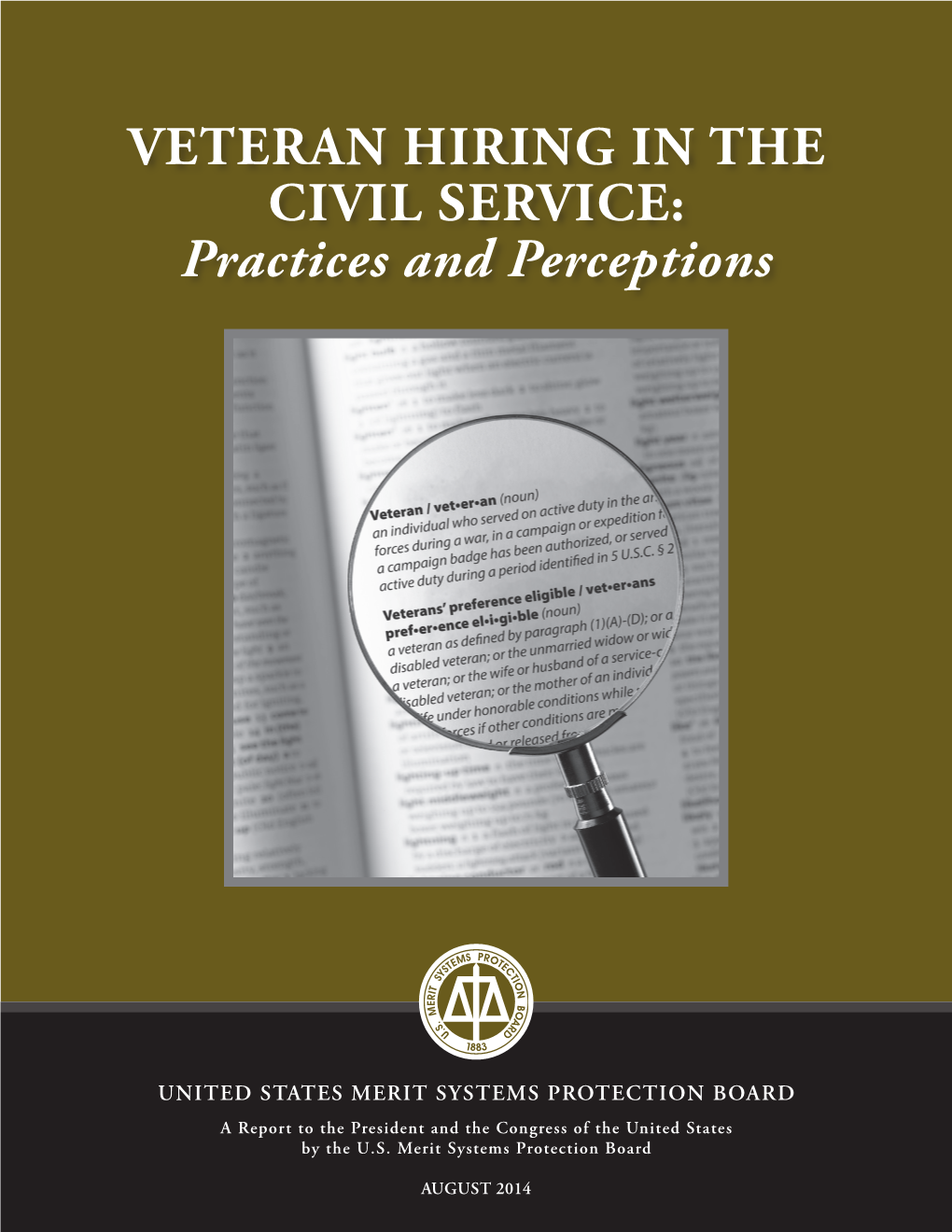 VETERAN HIRING in the CIVIL SERVICE: Practices and Perceptions