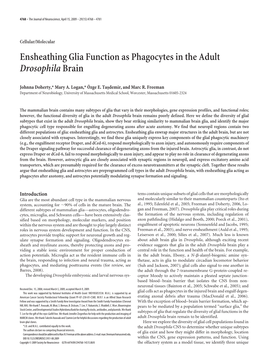 Ensheathing Glia Function As Phagocytes in the Adult Drosophila Brain