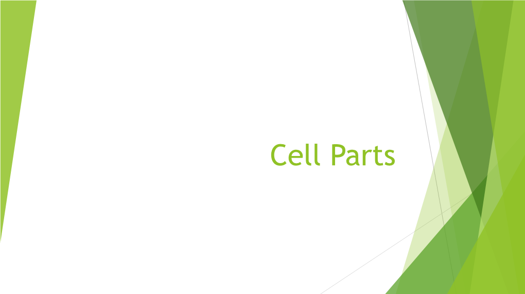Cell Parts What Are the Parts of an Animal Cell? an Animal Cell Has the Following Parts